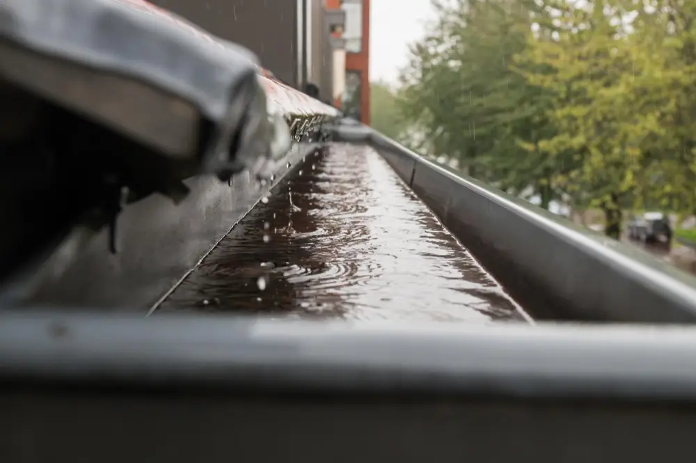 gutter cleaning frisco